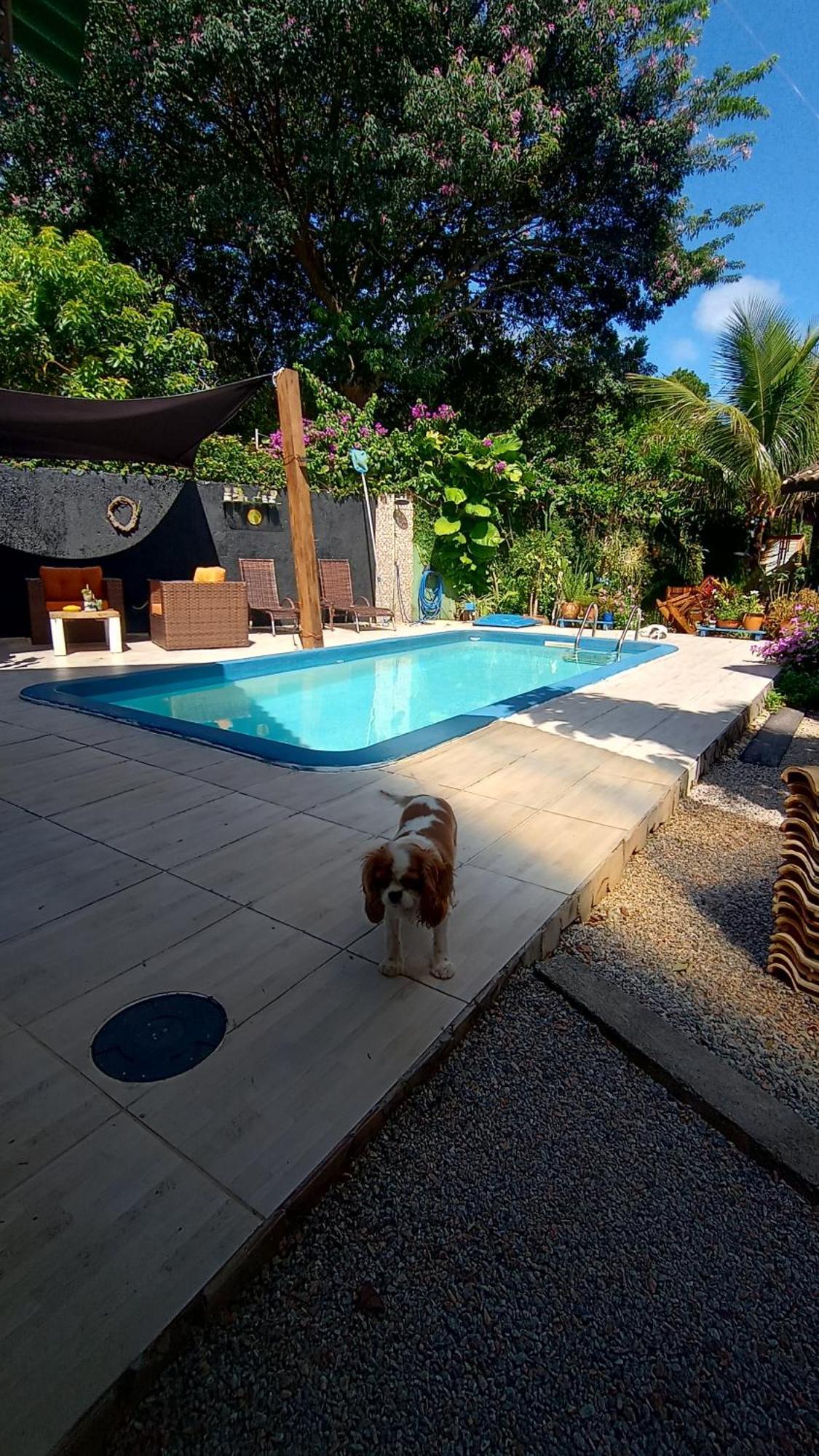 Pousada Zaua Guest House Florianopolis Exterior photo